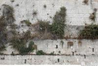 wall stones overgrown 0002